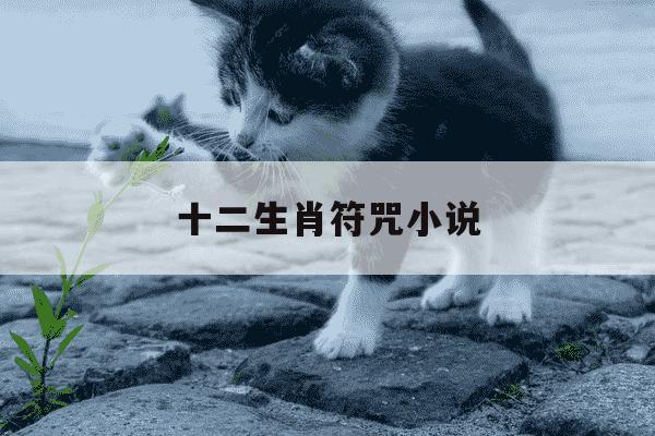 十二生肖符咒小说-十二生肖符咒小说起点在线阅读-第1张图片-学习推荐网